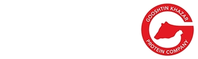 گوشتین